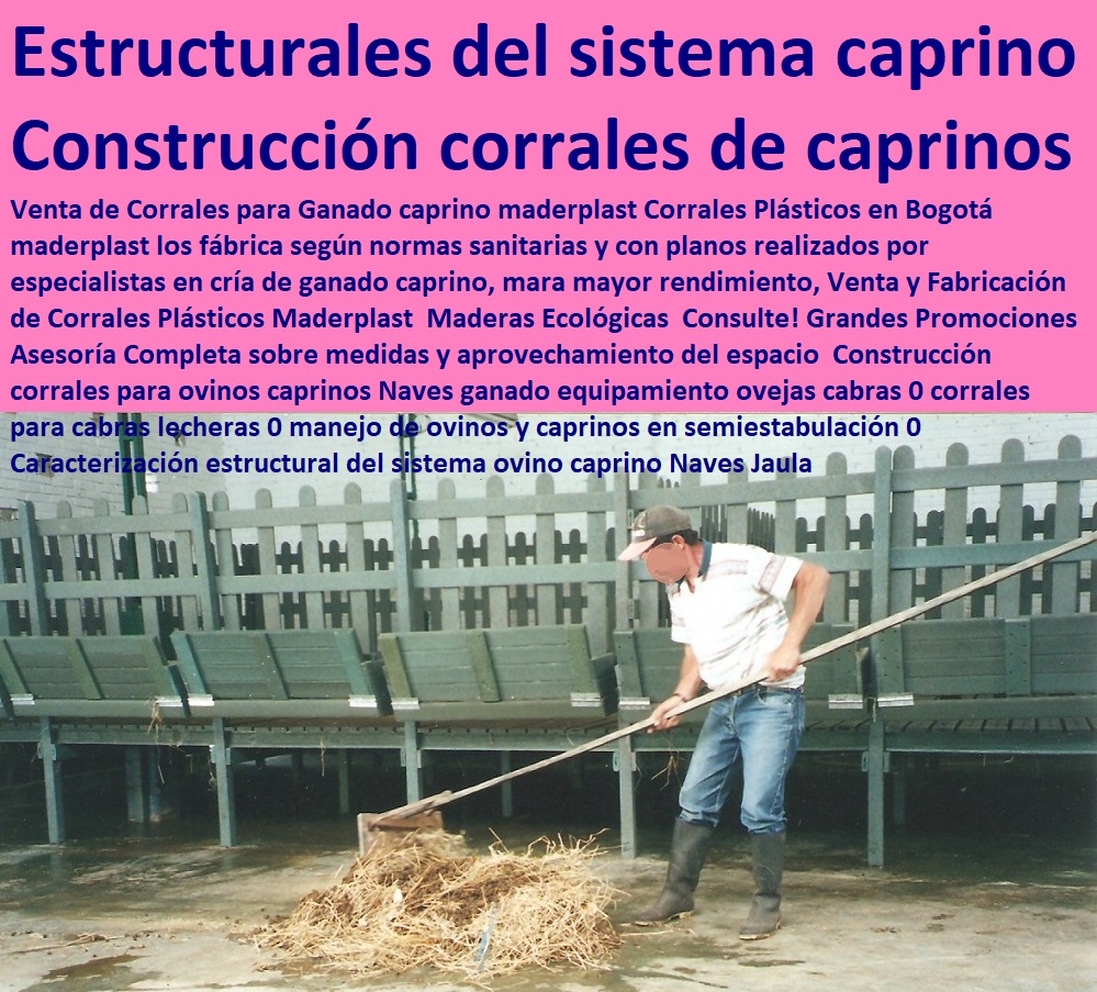 Construcción corrales para ovinos caprinos Naves ganado equipamiento ovejas cabras 0 corrales para cabras lecheras 0 manejo de ovinos y caprinos en semiestabulación 0 Caracterización estructural del sistema ovino caprino Naves Jaula Construcción corrales para ovinos caprinos Naves ganado corral de cabras apriscos corrales para caprinos estabulación ovejas cabras cabritos borregos chivos chivas, corralejas elevadas, apriscos estabulación de caprinos. planos de apriscos para cabras, establo para cabras, diseño de corrales para cabras, proyecto cabras lecheras en corral, corrales para cabras lecheras, equipamiento ovejas cabras 0 corrales para cabras lecheras 0 manejo de ovinos y caprinos en semiestabulación 0 Caracterización estructural del sistema ovino caprino Naves Jaula